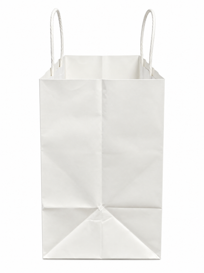 Sac blanc résistance 100g - 23x18x28